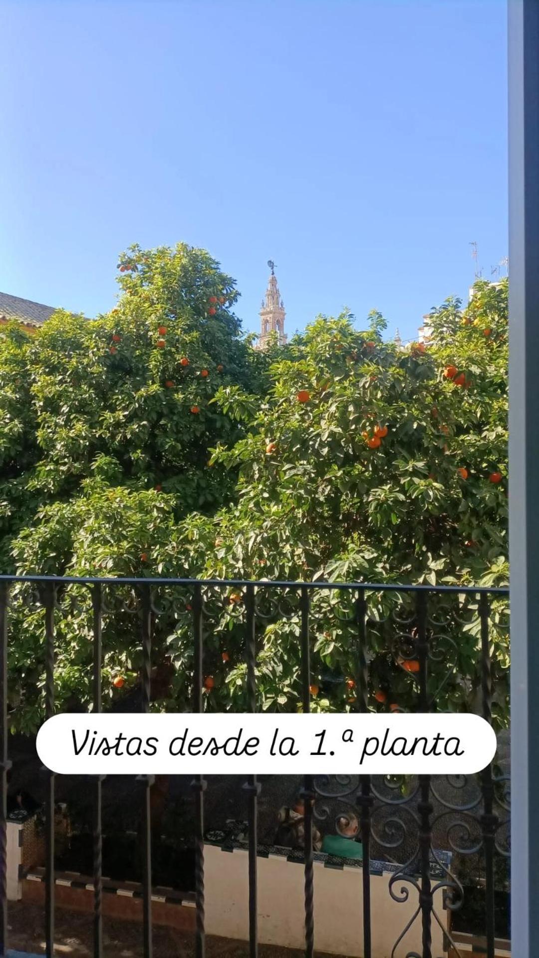 Apartamentos En La Plaza Dona Elvira, 7, Seville